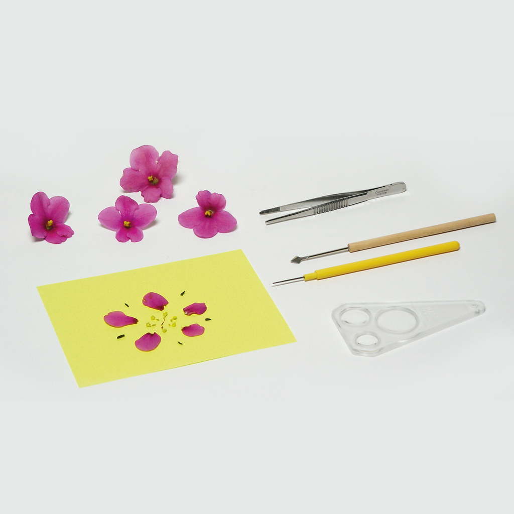 temp21780_btiWu419IKhQRk Gerätesatz „Pflanzen, Tiere, Lebensraum“