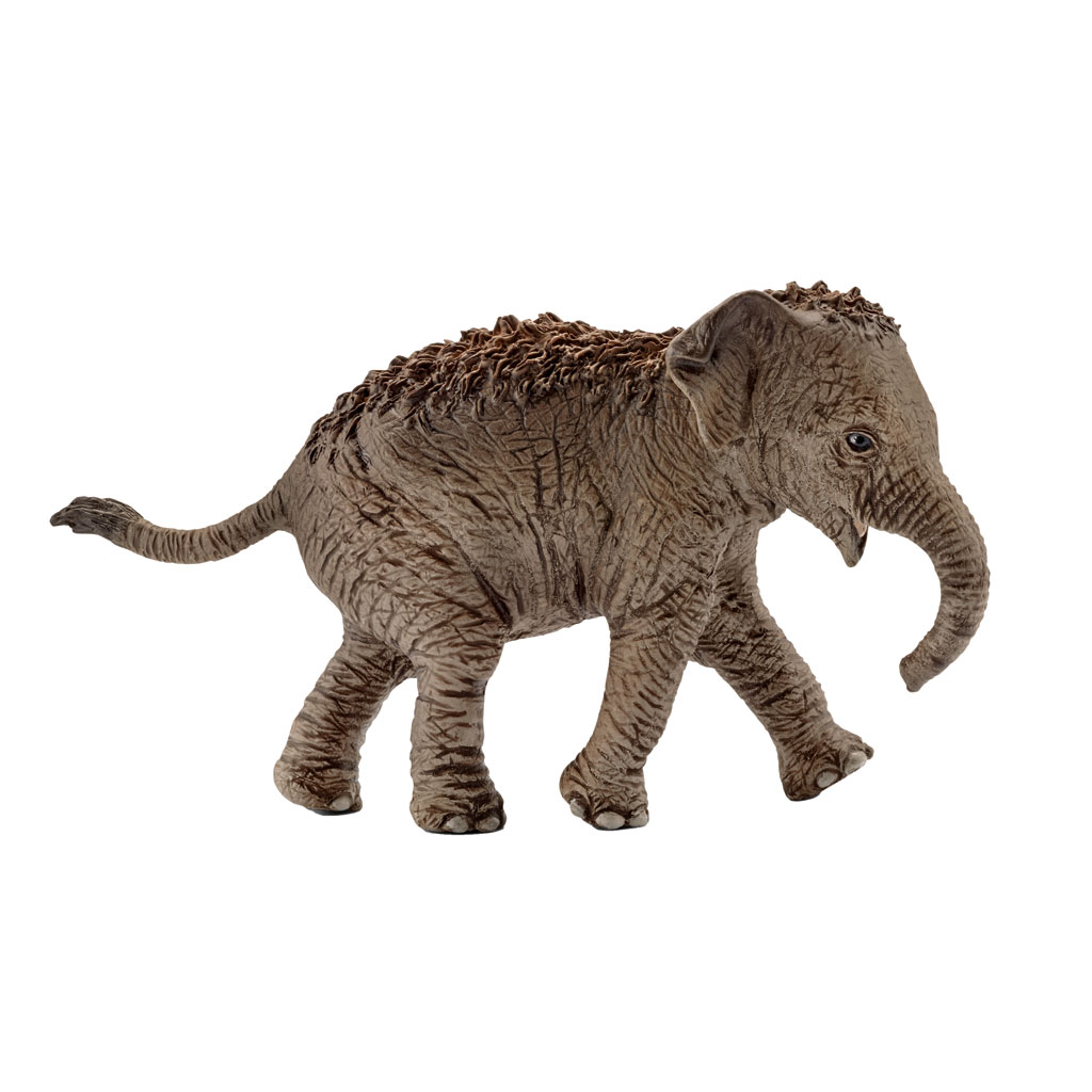 Schleich® Asiatisches Elefantenbaby