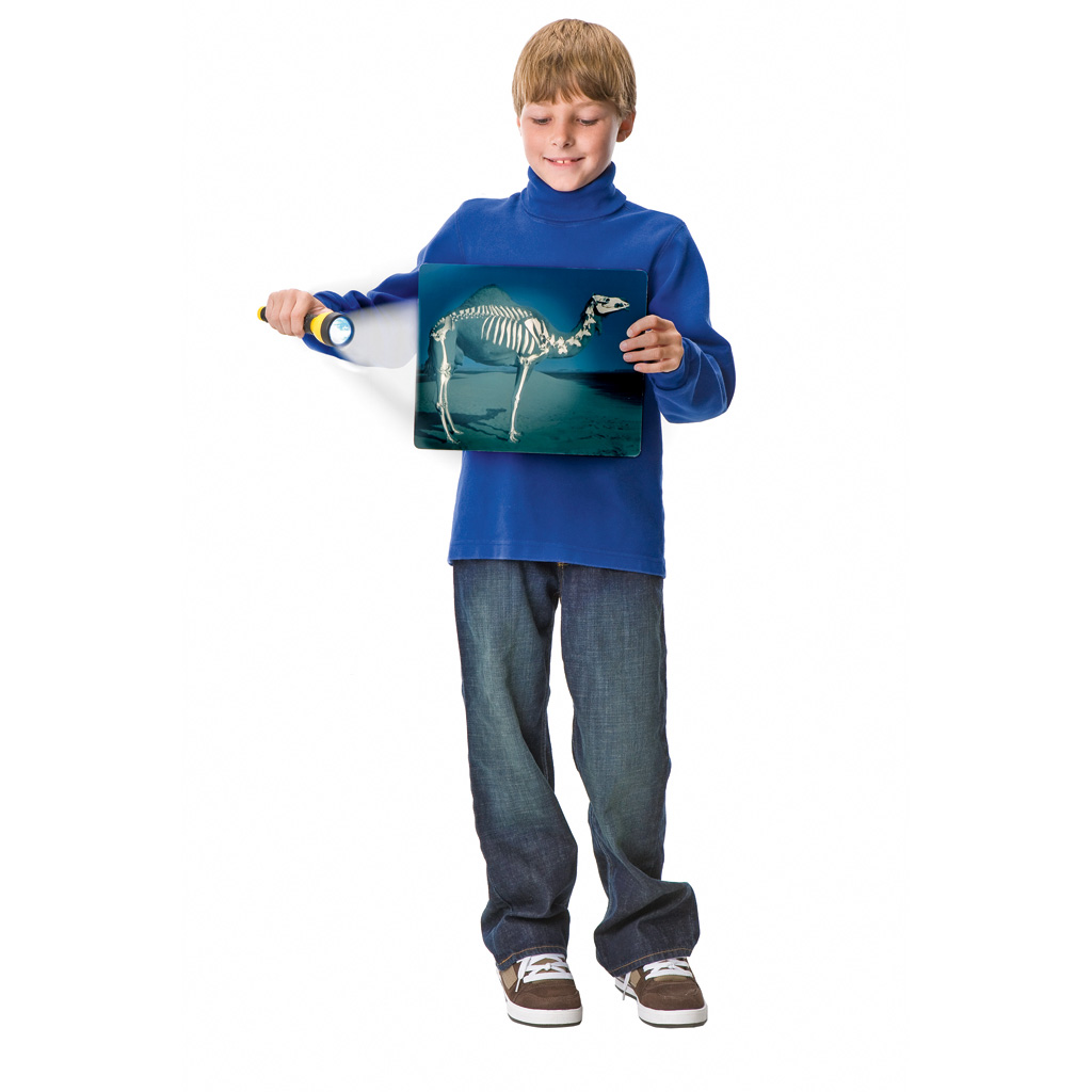 Das Innenleben der Menschen und Tiere-Bild Auf diesem Bild ist das Produkt mit der Art.Nr.: W-93859 zu sehen