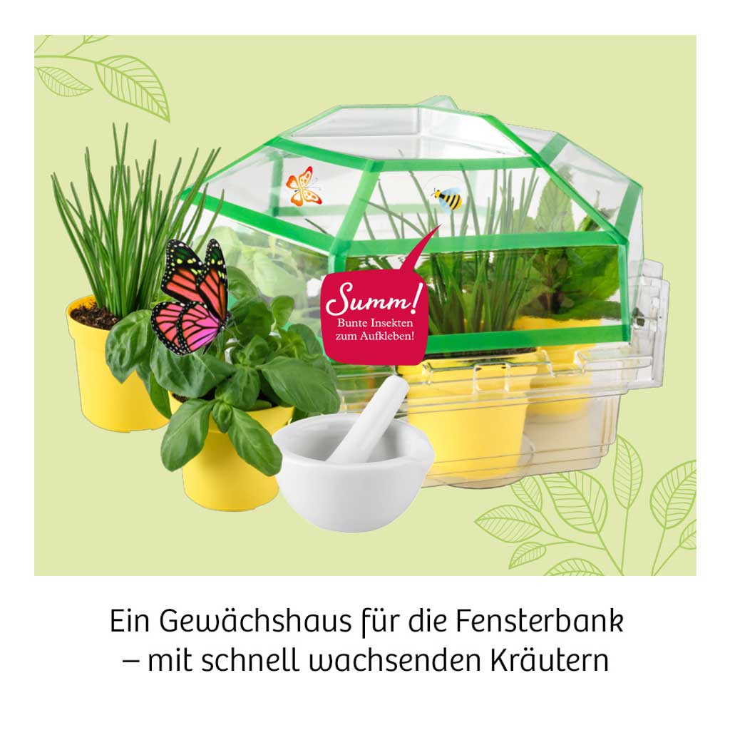 Kräutergarten