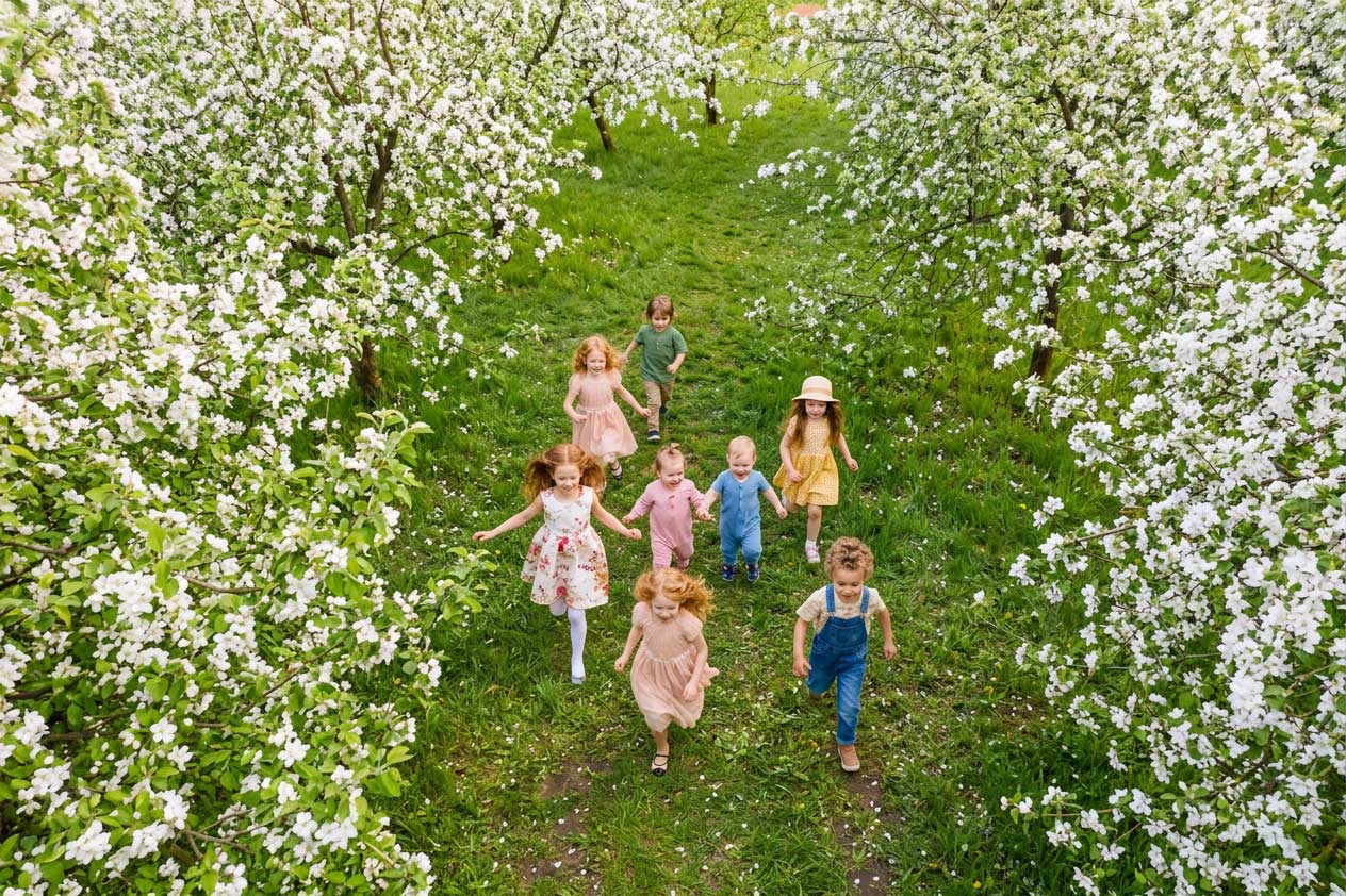 Kinder laufen über Wiese unter blühenden Apfelbäumen