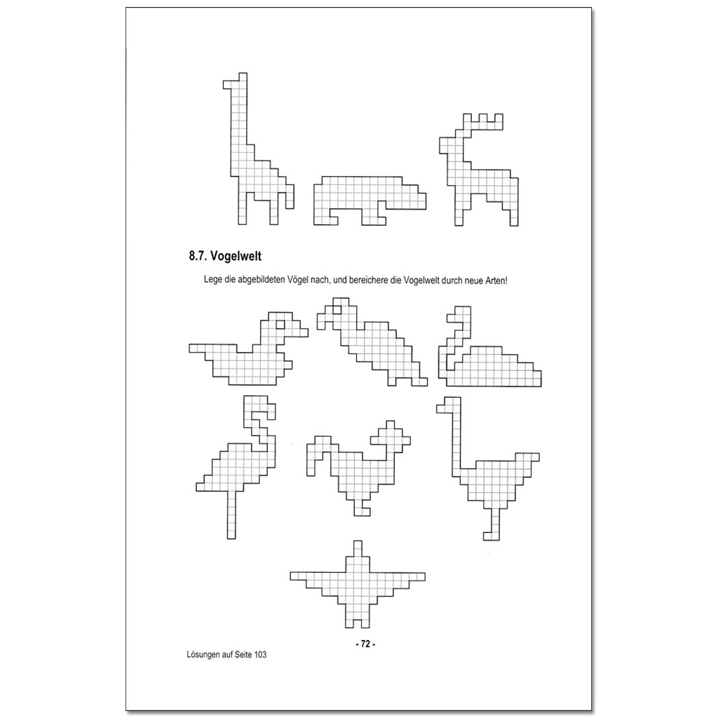 temp30447_2ZISIKk41HrPiy Das Pentomino - Buch