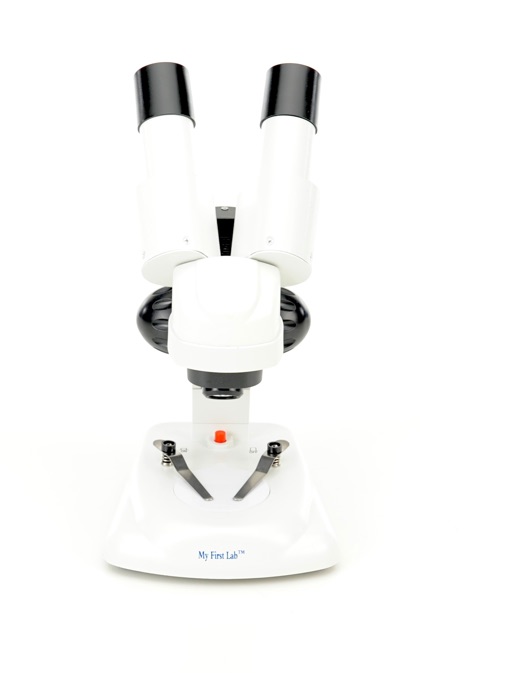 Stereomikroskop – 20x Vergrößerung