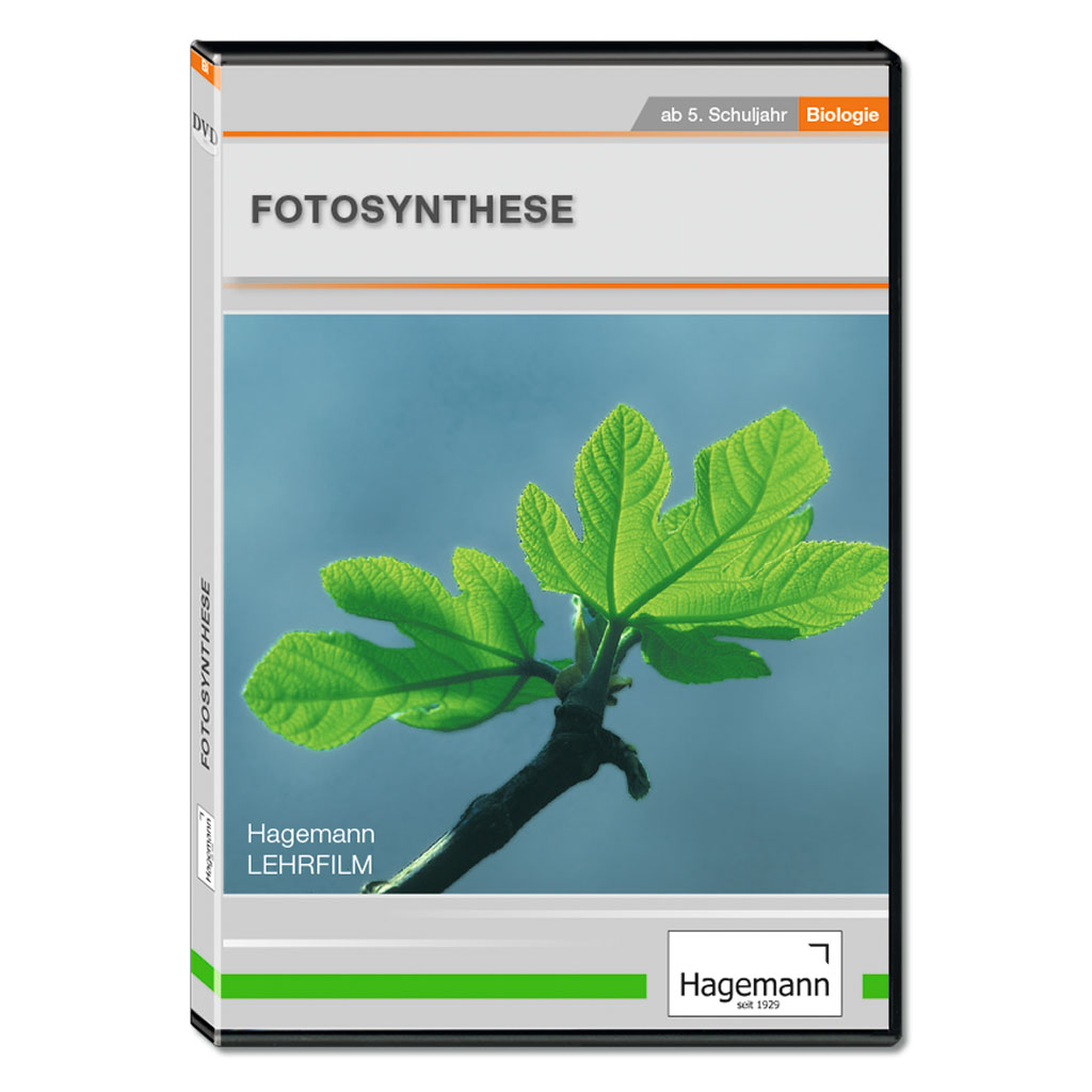 Fotosynthese