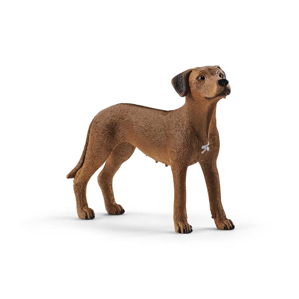 Schleich® Rhodesian Ridgeback  