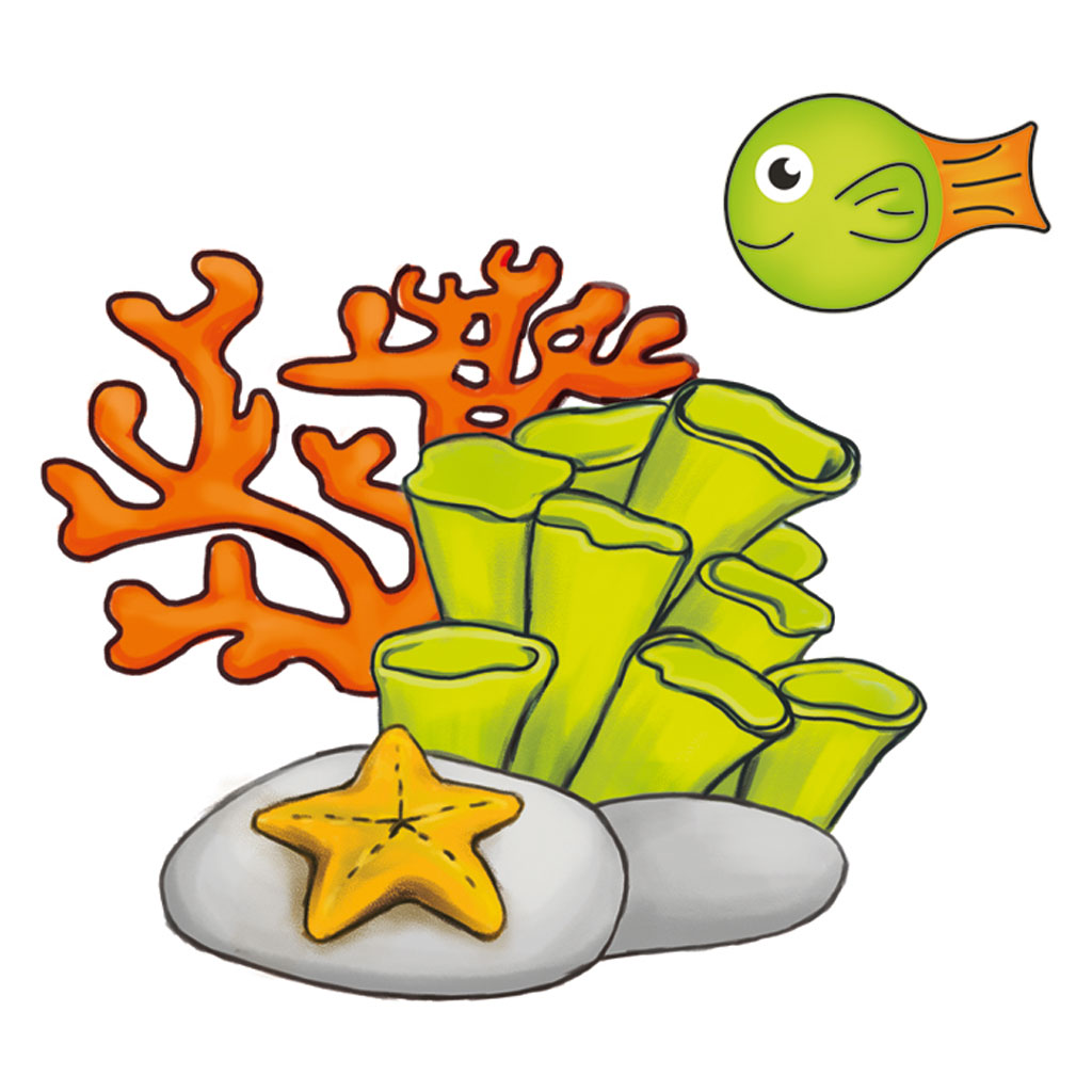 XXL Punakai XXL Punakai