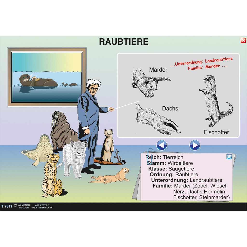 Interaktive digitale Tafelbilder ZOOLOGIE 3