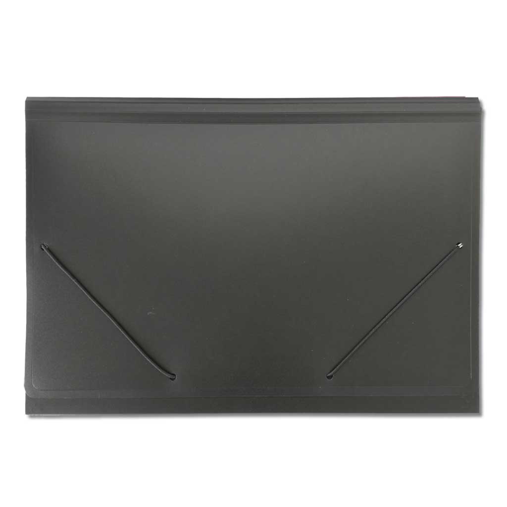 temp93162_a_faechertasche_a4aXHWUDQ4kBOMV Dokumententasche im A4-Format