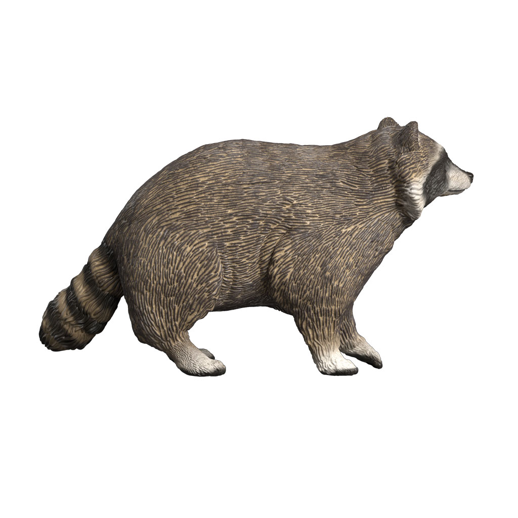 Schleich® Waschbär