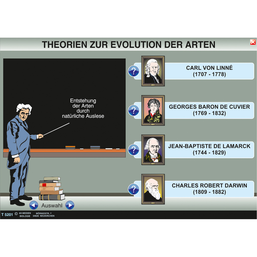 Interaktive digitale Tafelbilder EVOLUTION 2