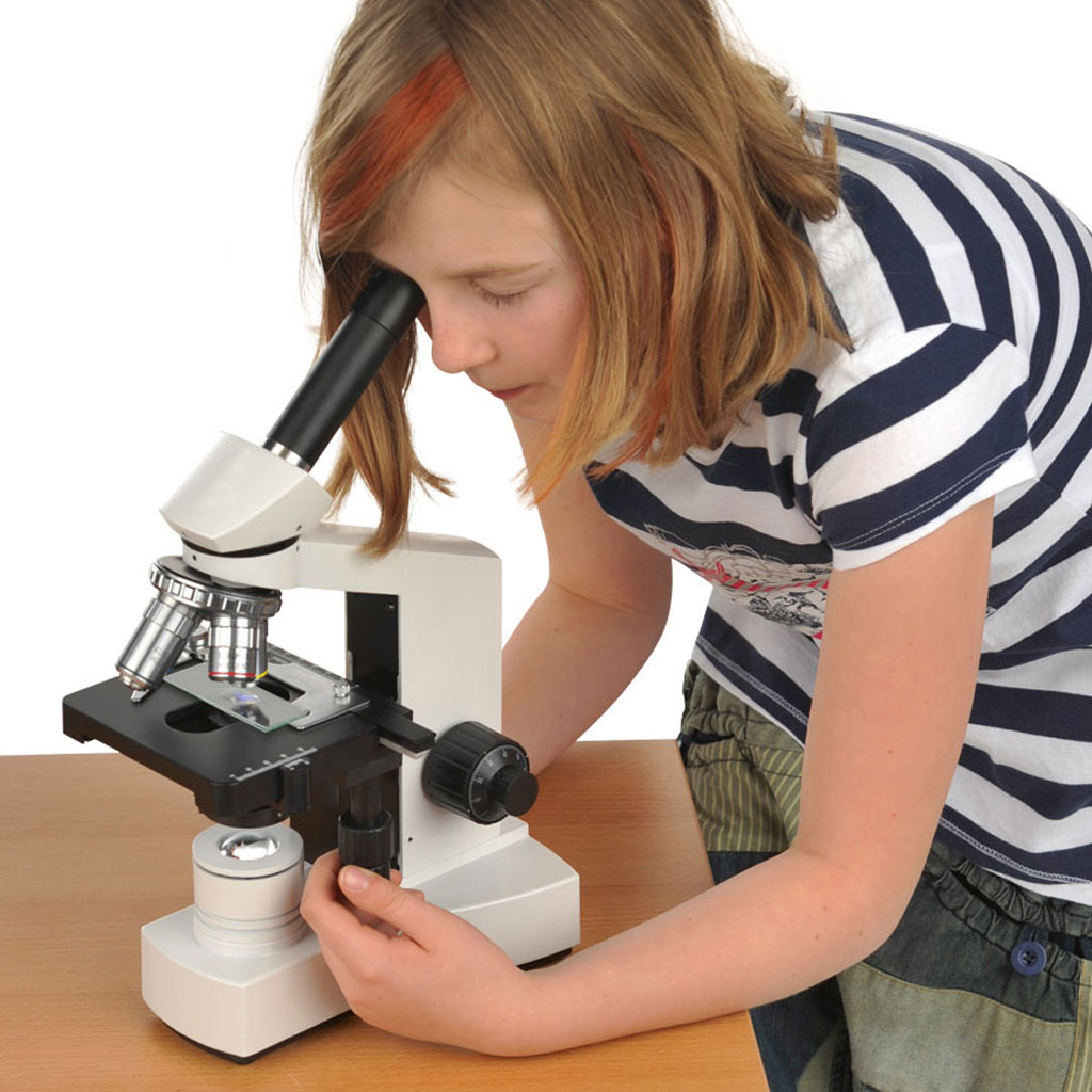 Mikroskop WL 1810 LED Elementar – 40x bis 600x Vergrößerung