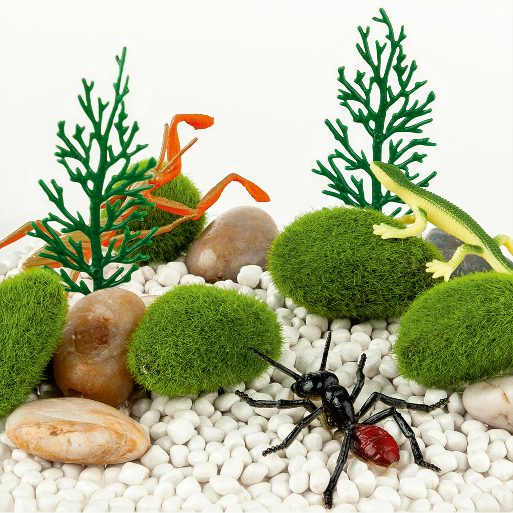 Sensorik-Kasten Insekten Sensorik-Kasten Insekten