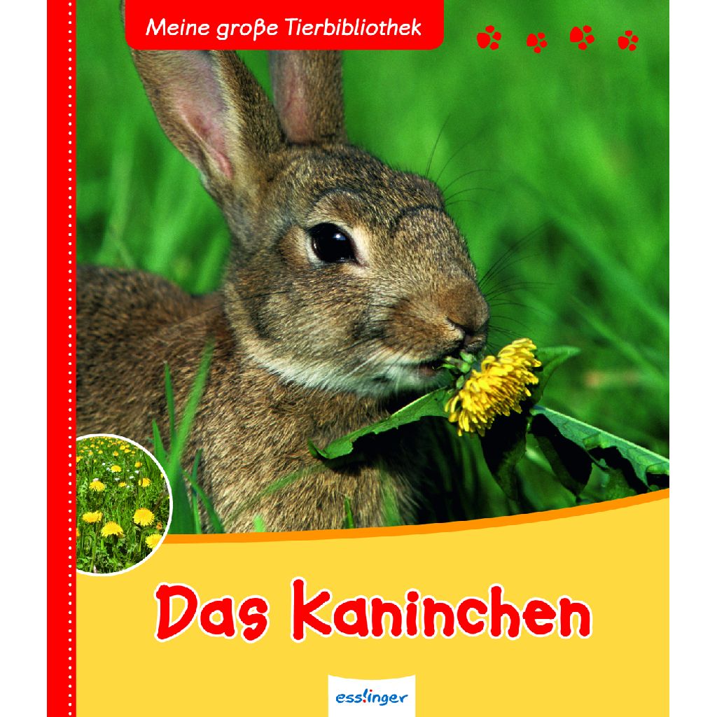 Meine große Tierbibliothek Das Kaninchen