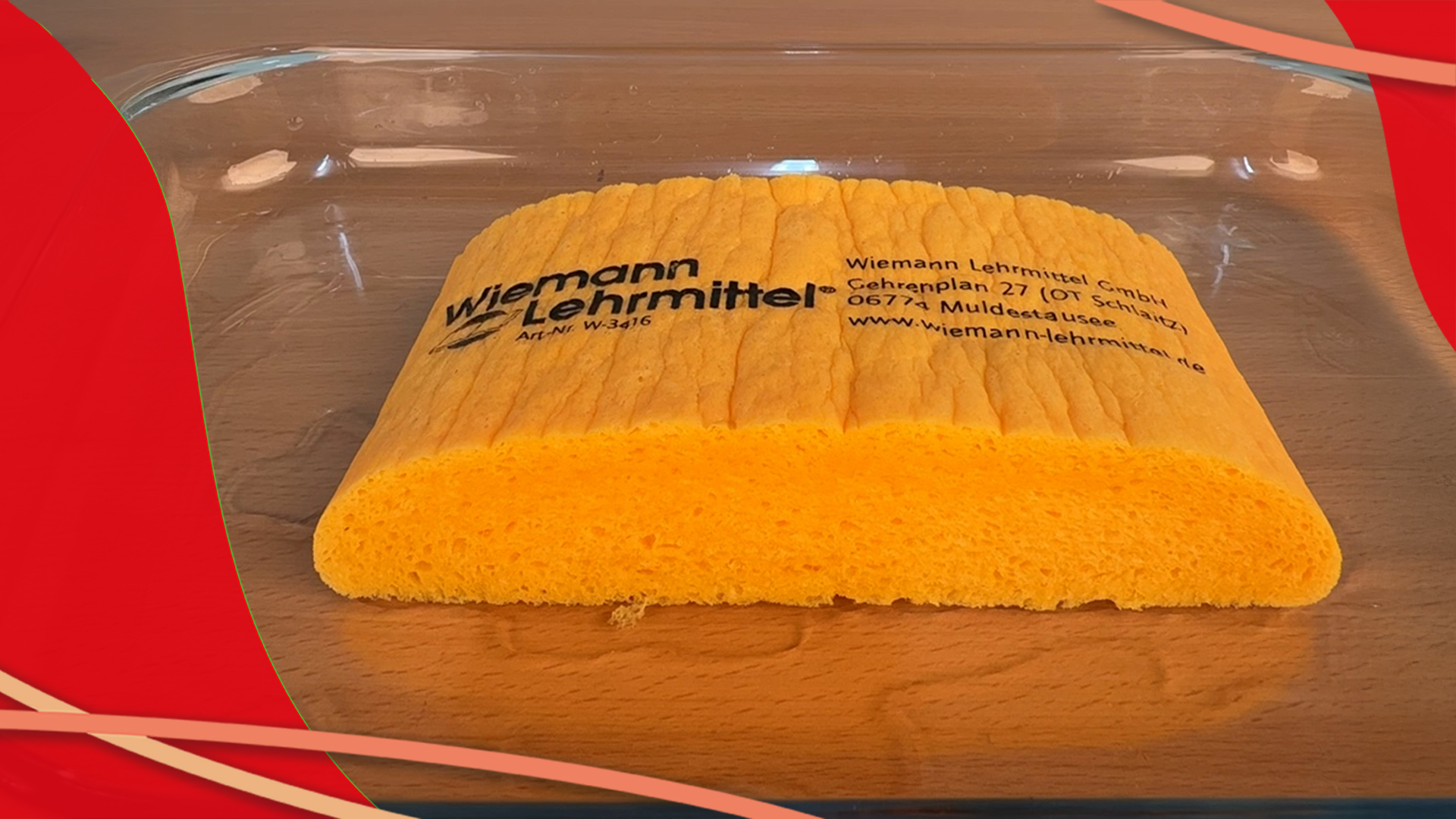 20251015_W-3547_Quellschwamm_Video_zu_Wiemann-Lehrmittel