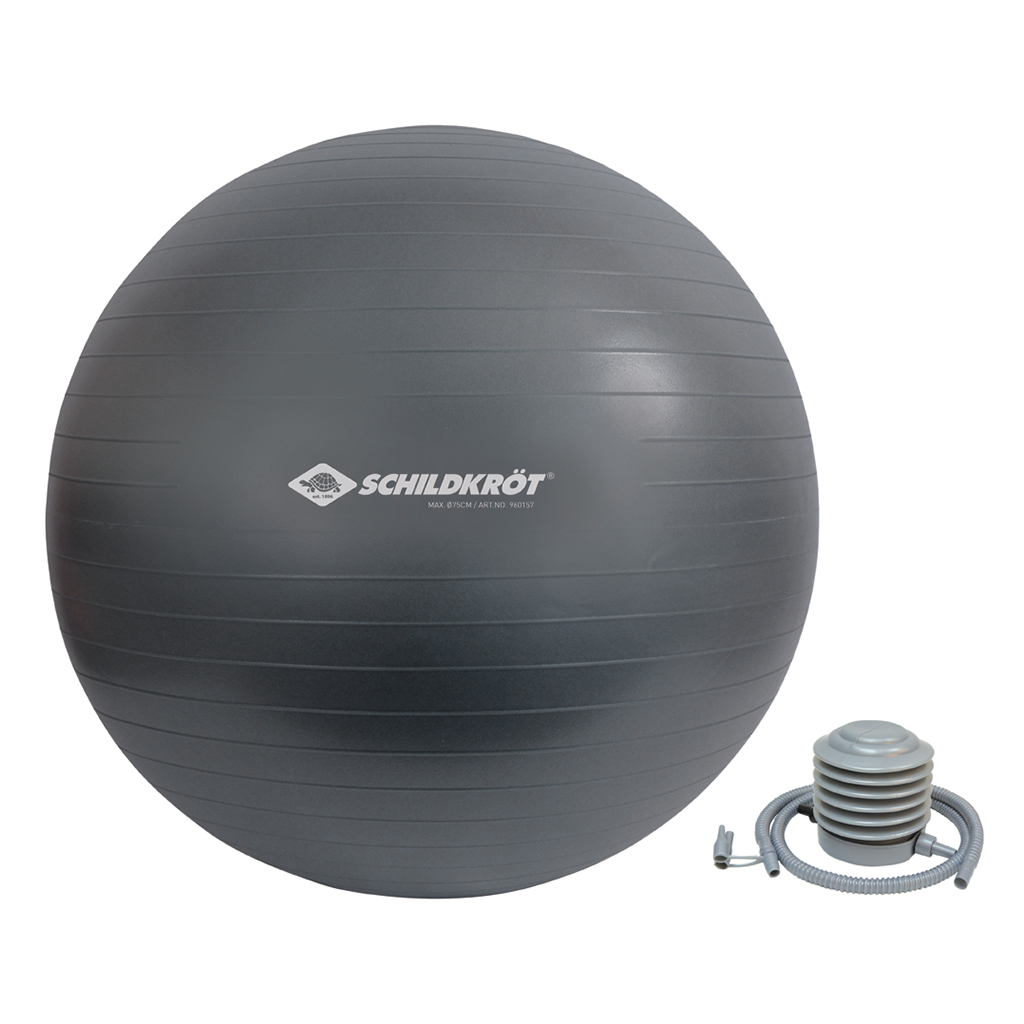 Gymnastikball 75cm, für Körpergröße 176-185cm, incl. Fußpumpe Gymnastikball 75cm, für Körpergröße 176-185cm, incl. Fußpumpe