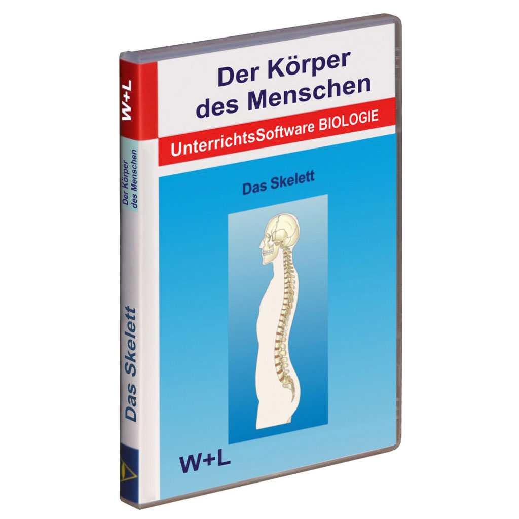 Der Körper des Menschen - Das Skelett