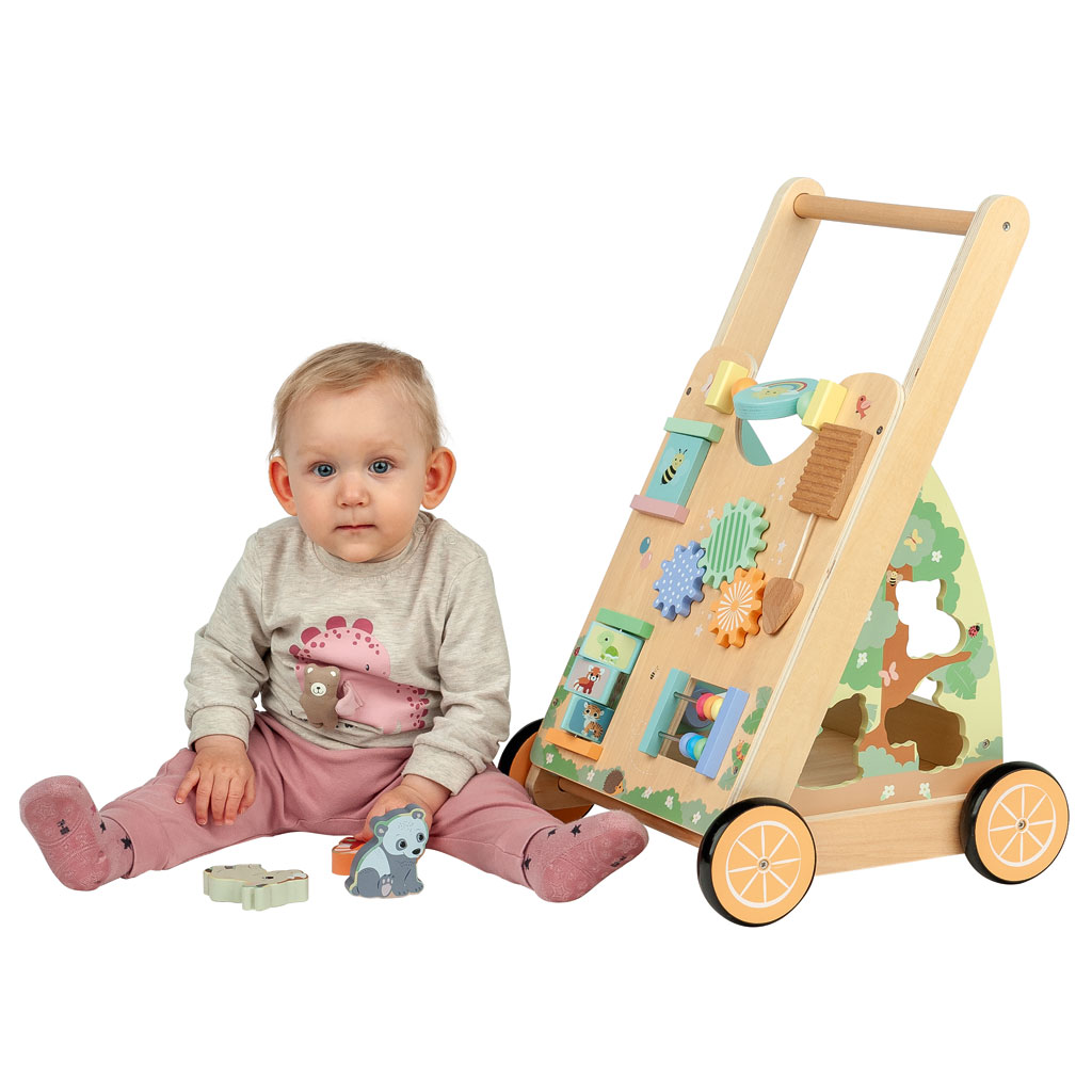 Jouéco® Motorik-Lauflernwagen