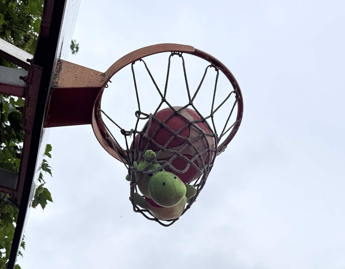 Basketball und Flippi liegen im Netz