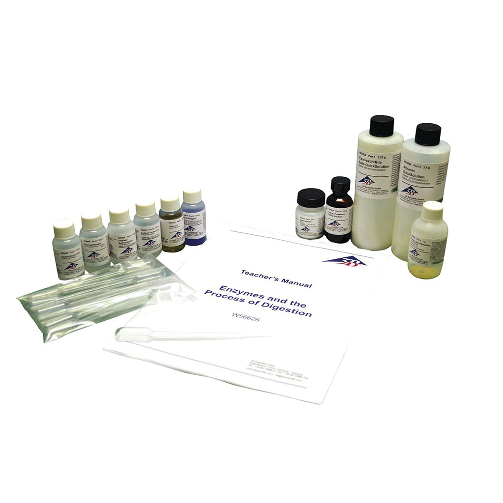 Enzyme und der Verdauungsprozess Enzyme und der Verdauungsprozess