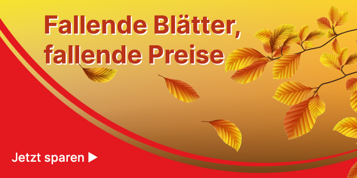 Banner mit Herbstblättern mit Aufschrift „Fallende Blätter, fallende Preise – jetzt sparen“
