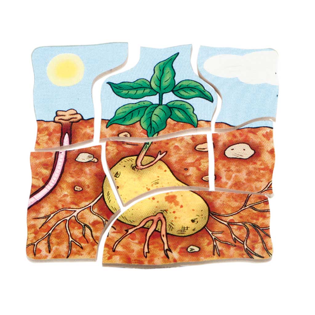 Lagenpuzzle Kartoffel