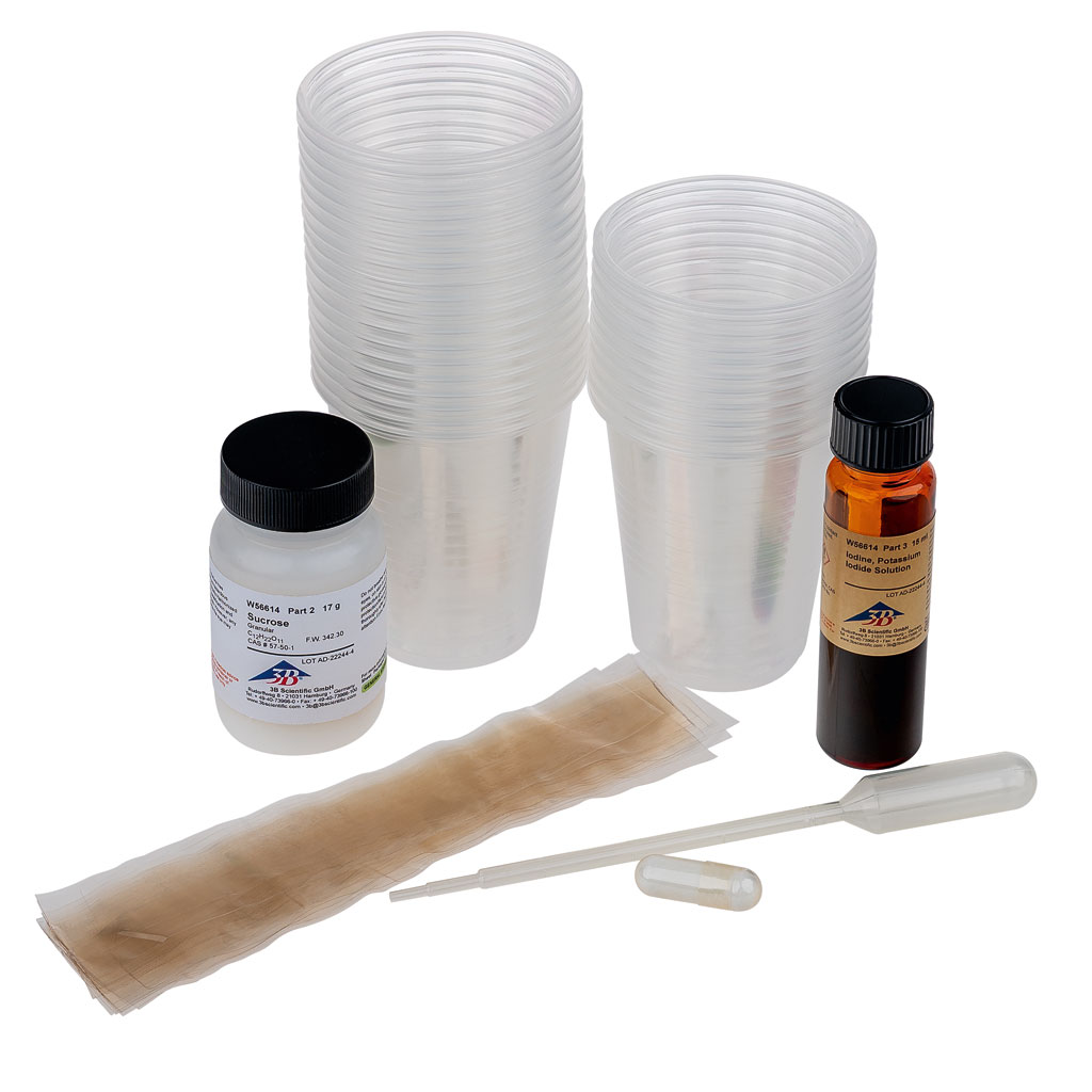 Osmose- und Diffusionlabor