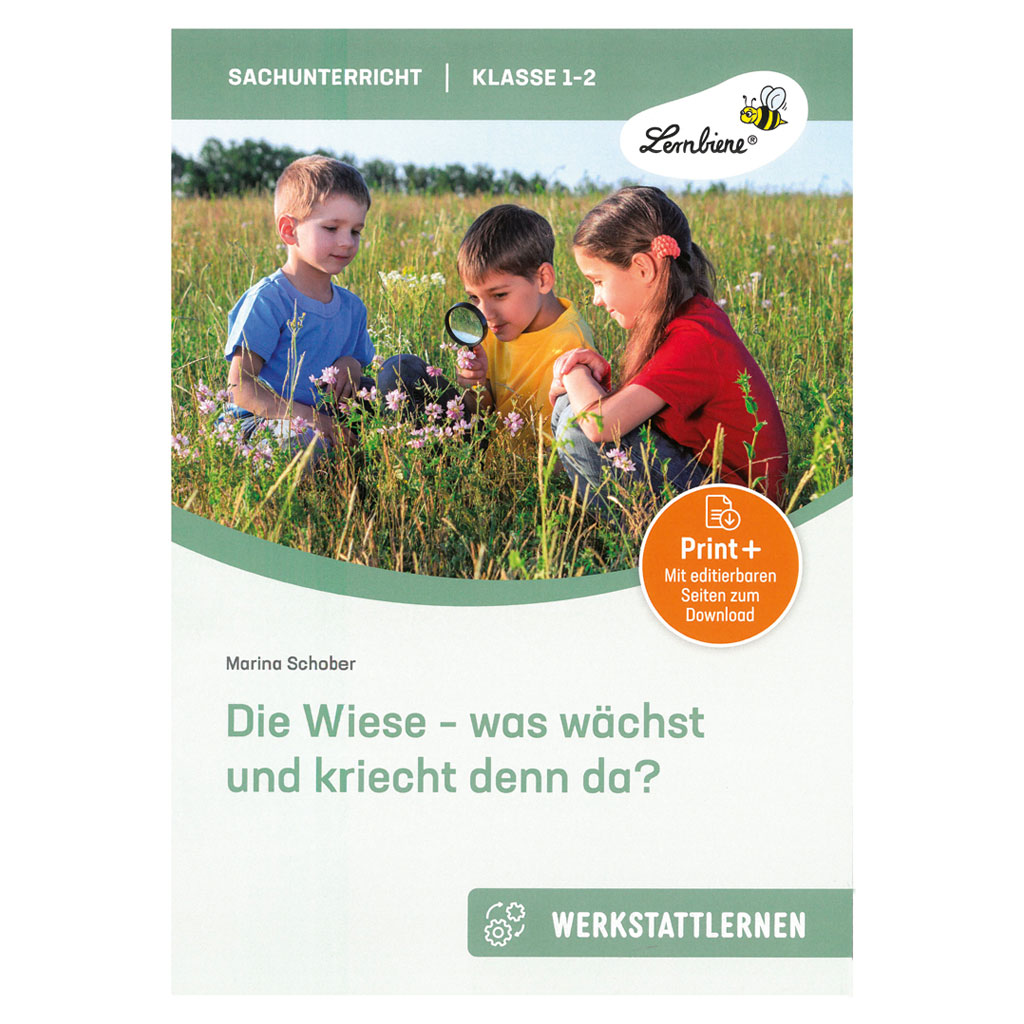 Die Wiese - was wächst und kriecht denn da?
