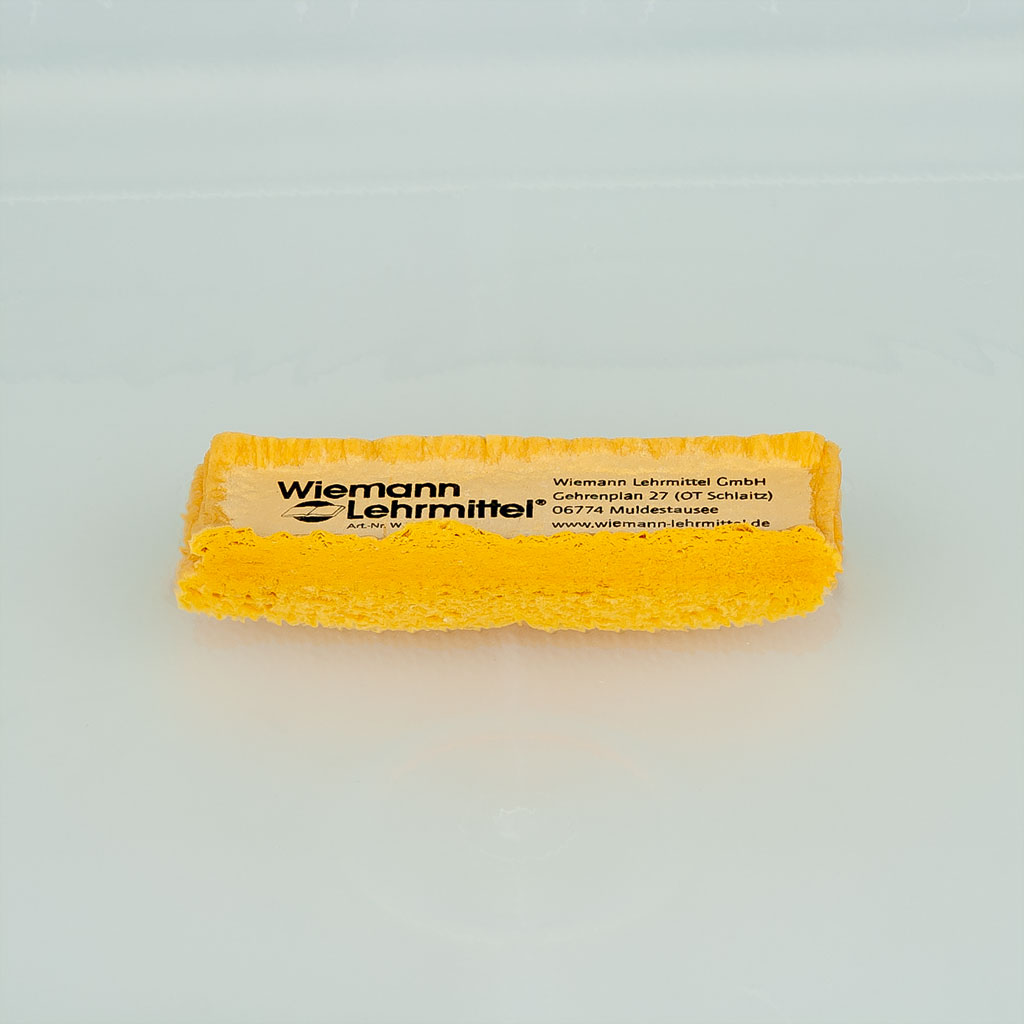 Quellschwamm für die Tafelreinigung Quellschwamm für die Tafelreinigung