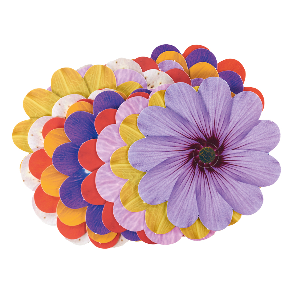 Blüten zum Weben, 16 Stück