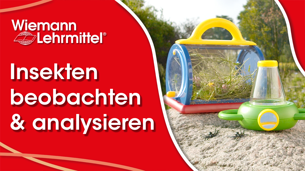 Video_zu_Insekten_beobachten_wiemann-lehrmittel