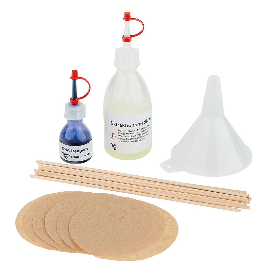 DNA-Gewinnung, kleines Experimentier-Kit
