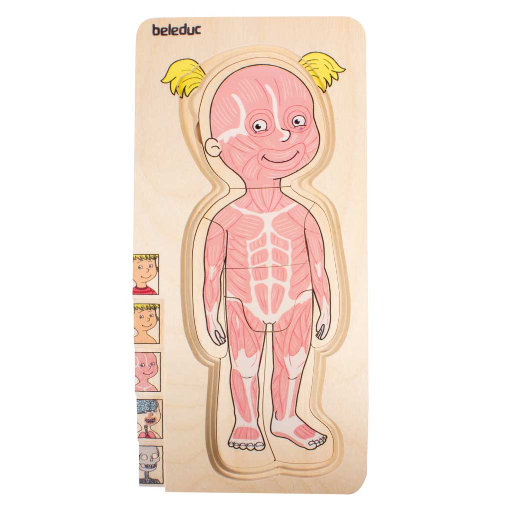 Lagenpuzzle „Körper“