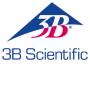 3B Scientific 3B Scientific