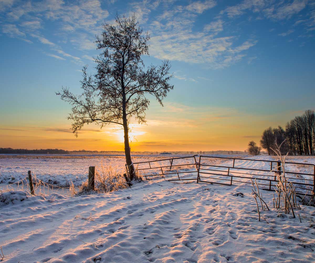 Feld mit Schnee bedeckt und sonnenuntergang