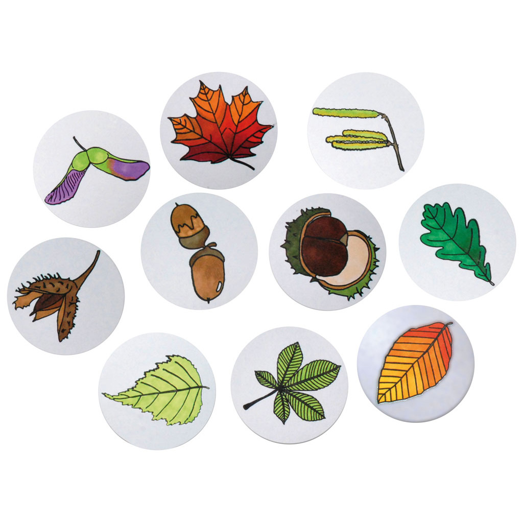 temp91067_1AbTuOFOOsipan Naturstempel Blätter und Früchte, 10 Stück