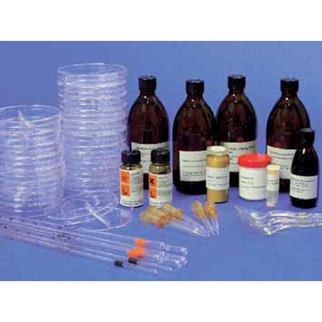 Die Verdauung - Enzym-Kit