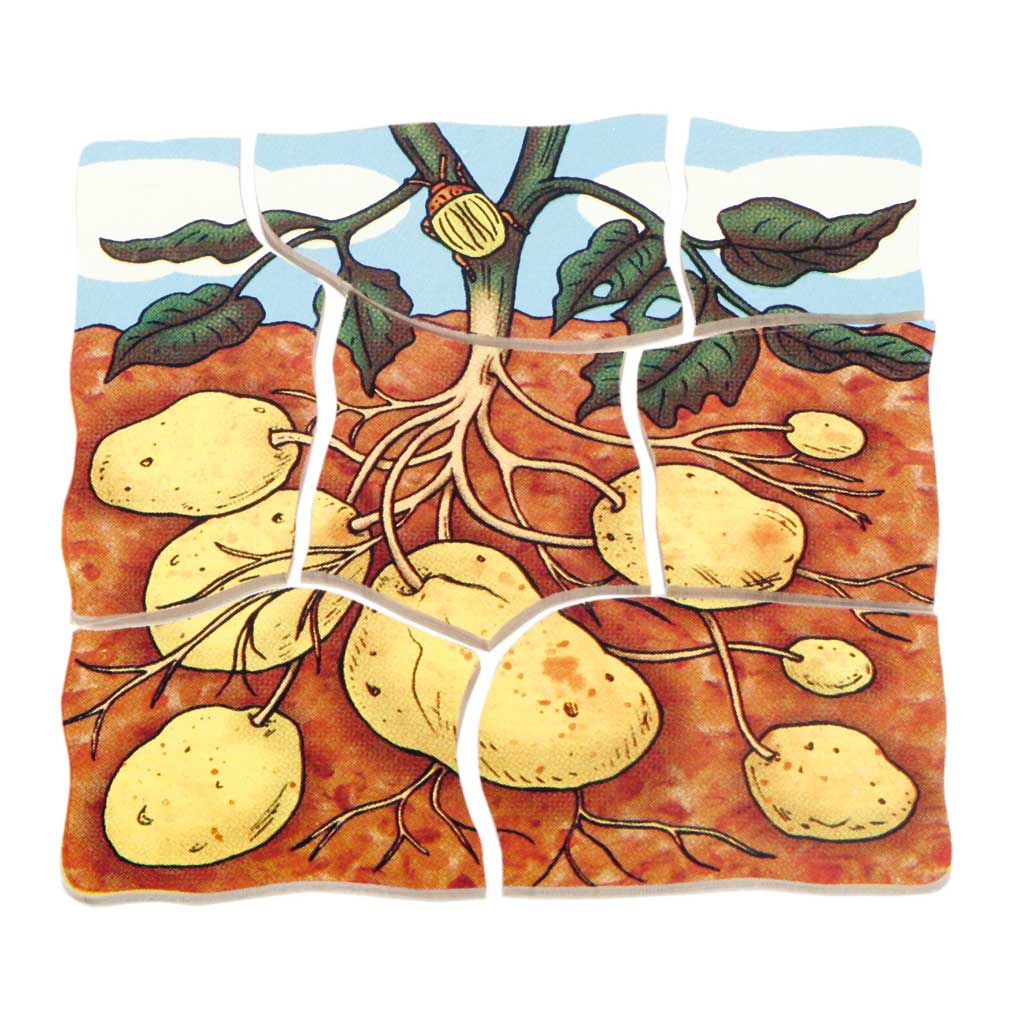 Lagenpuzzle Kartoffel