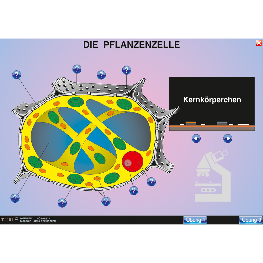 Interaktive digitale Tafelbilder GENETIK 1