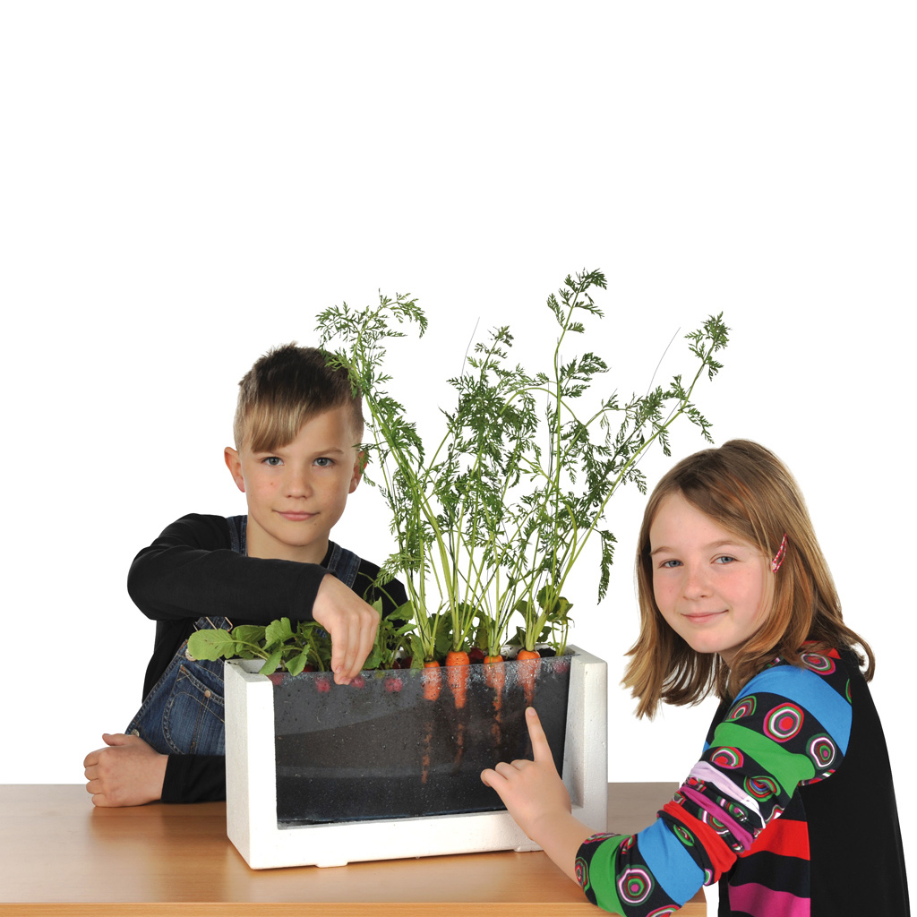 temp22442k8NQz4DlAD5uT Wurzelsichthaus