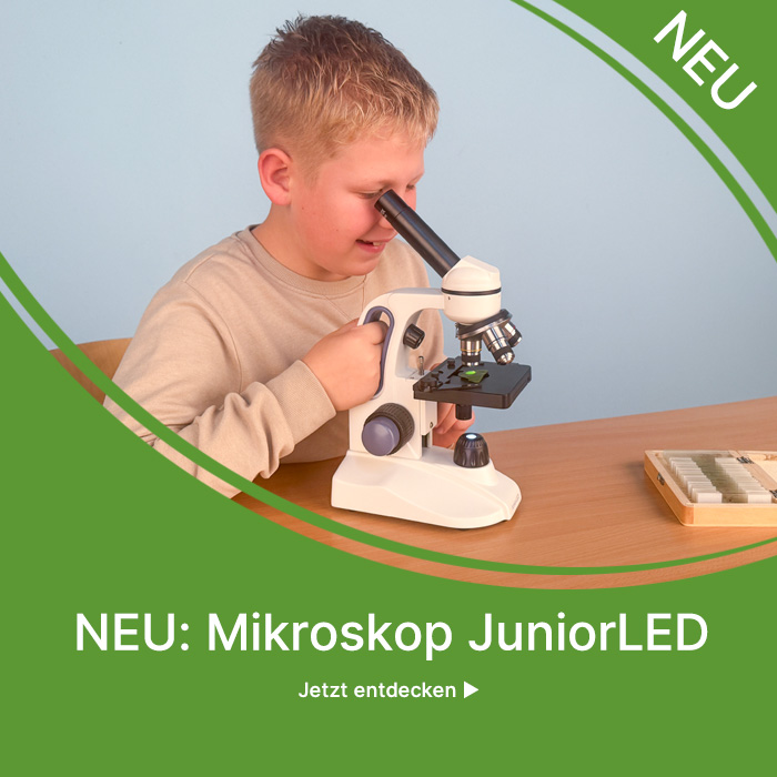 Banner für Neuheit: Mikroskop JuniorLED