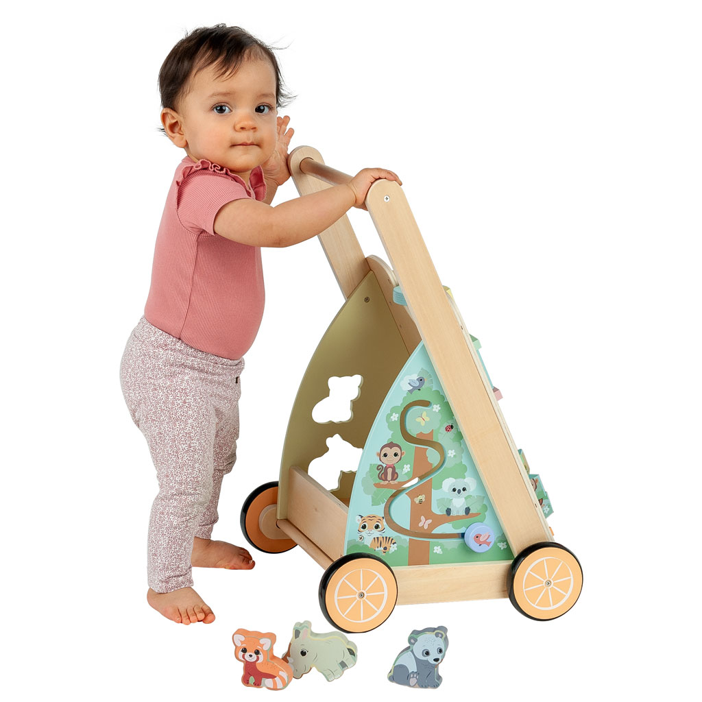 Jouéco® Motorik-Lauflernwagen