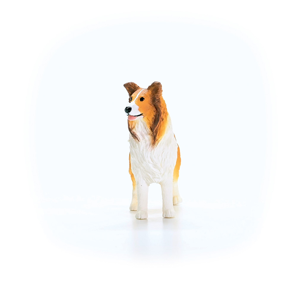 Schleich® Collie