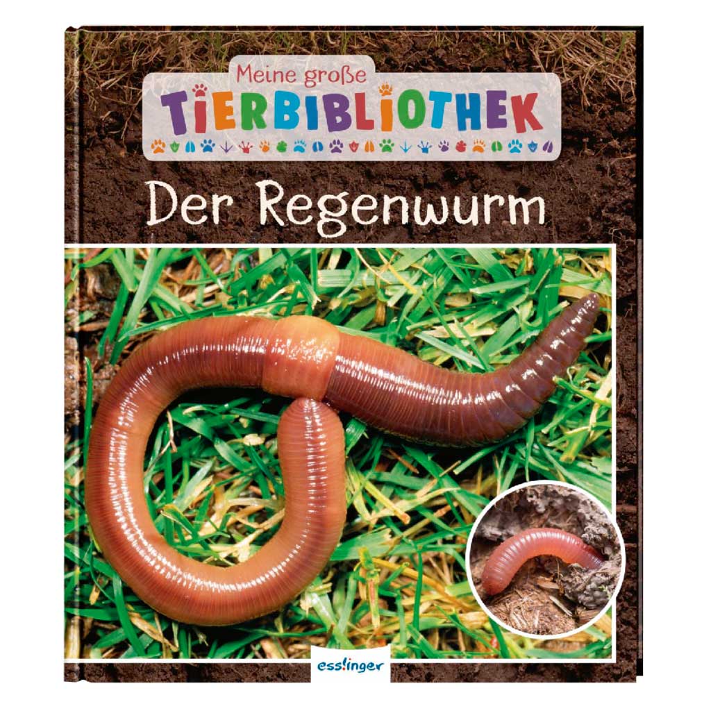 tempder_regenwurm_wiemann_lehrmittel_22988ZWA59SYEPXdJl Kinderbuch „Der Regenwurm“
