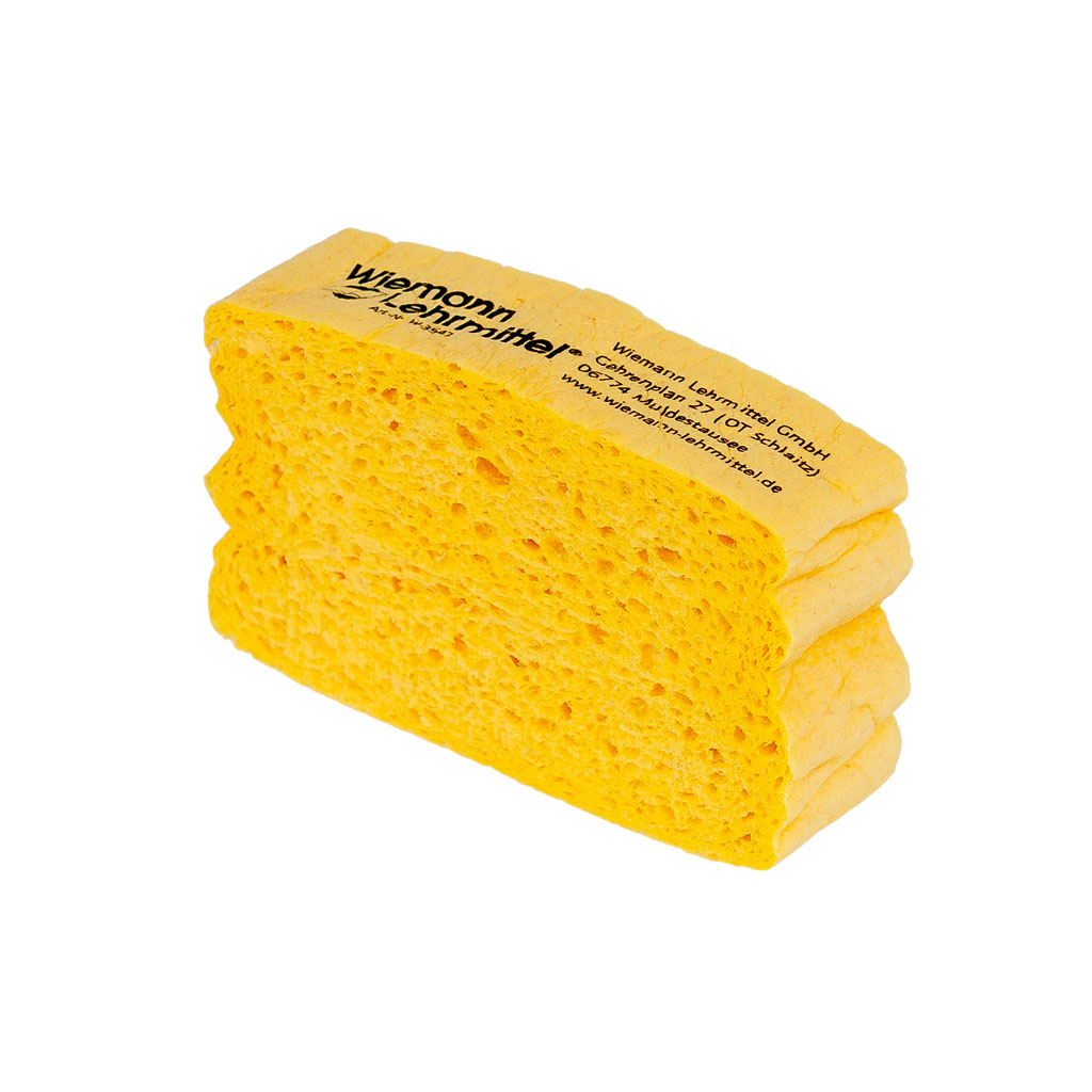 Quellschwamm für die Tafelreinigung