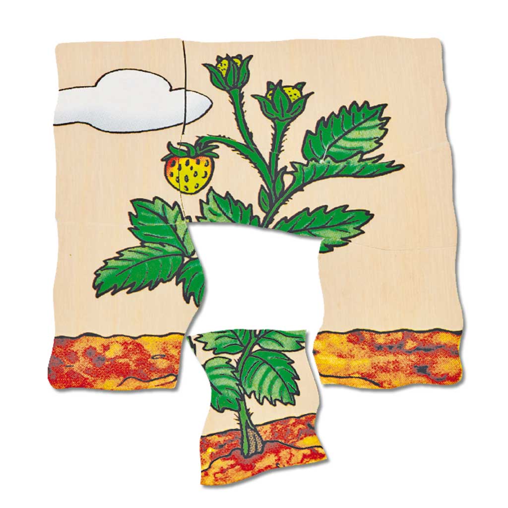 Lagenpuzzle Erdbeere