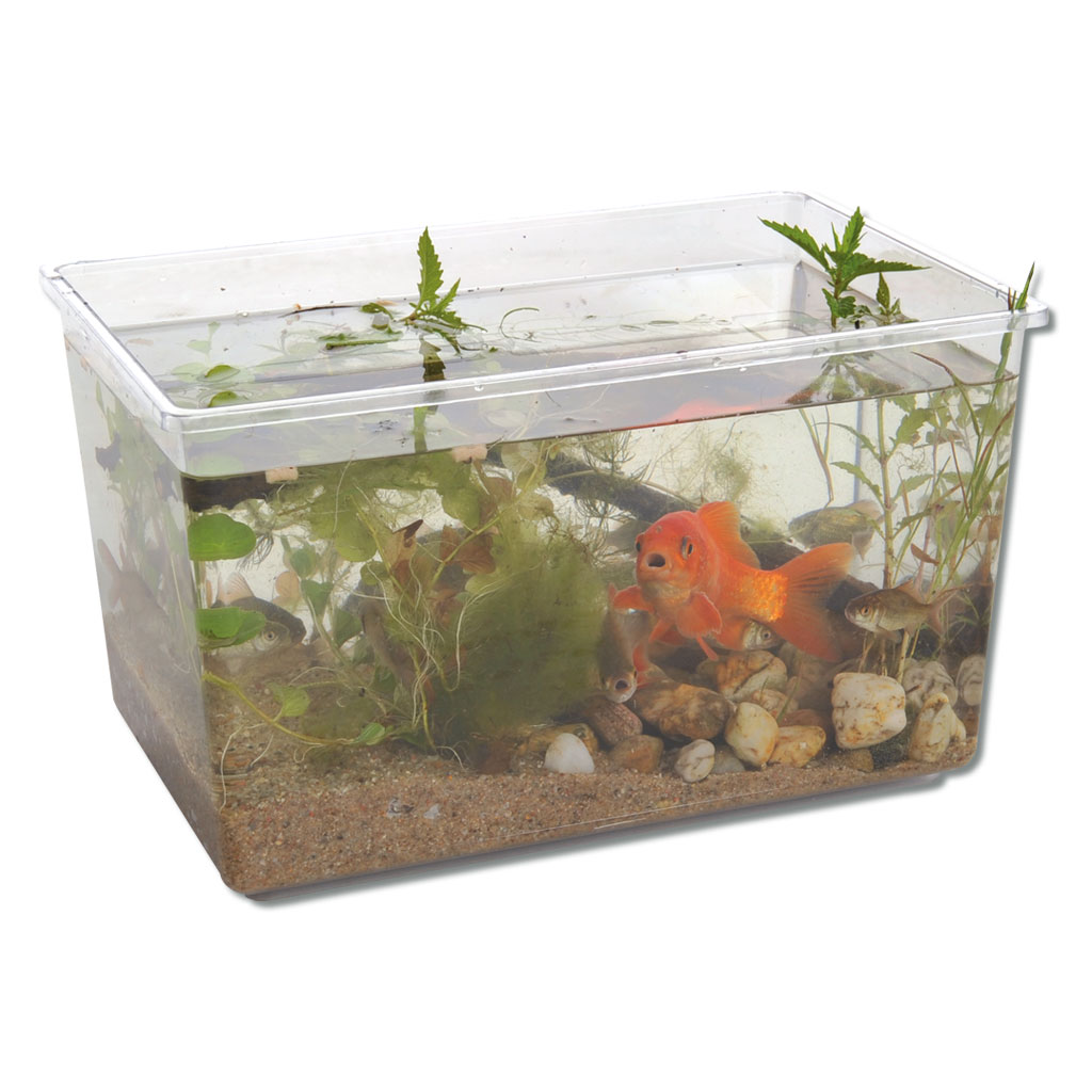 Wannen und Aquarien aus Kunststoff in vier Größen