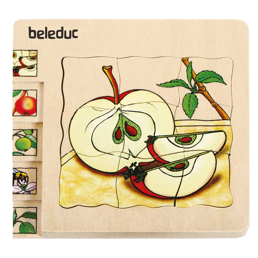 Lagenpuzzle Apfel