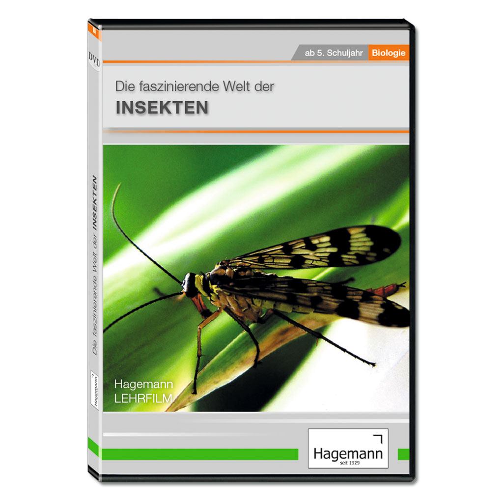 Die faszinierende Welt der Insekten