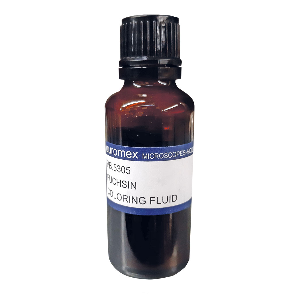 Auf diesem Bild ist das Produkt mit der Art.Nr.: W-21599 zu sehen