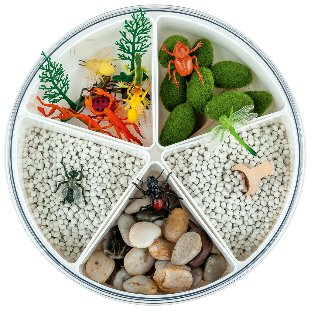 Sensorik-Kasten Insekten-Bild Auf diesem Bild ist das Produkt mit der Art.Nr.: W-83521 zu sehen